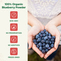 Hands holding blueberries with organic blueberry powder product details on the left.
