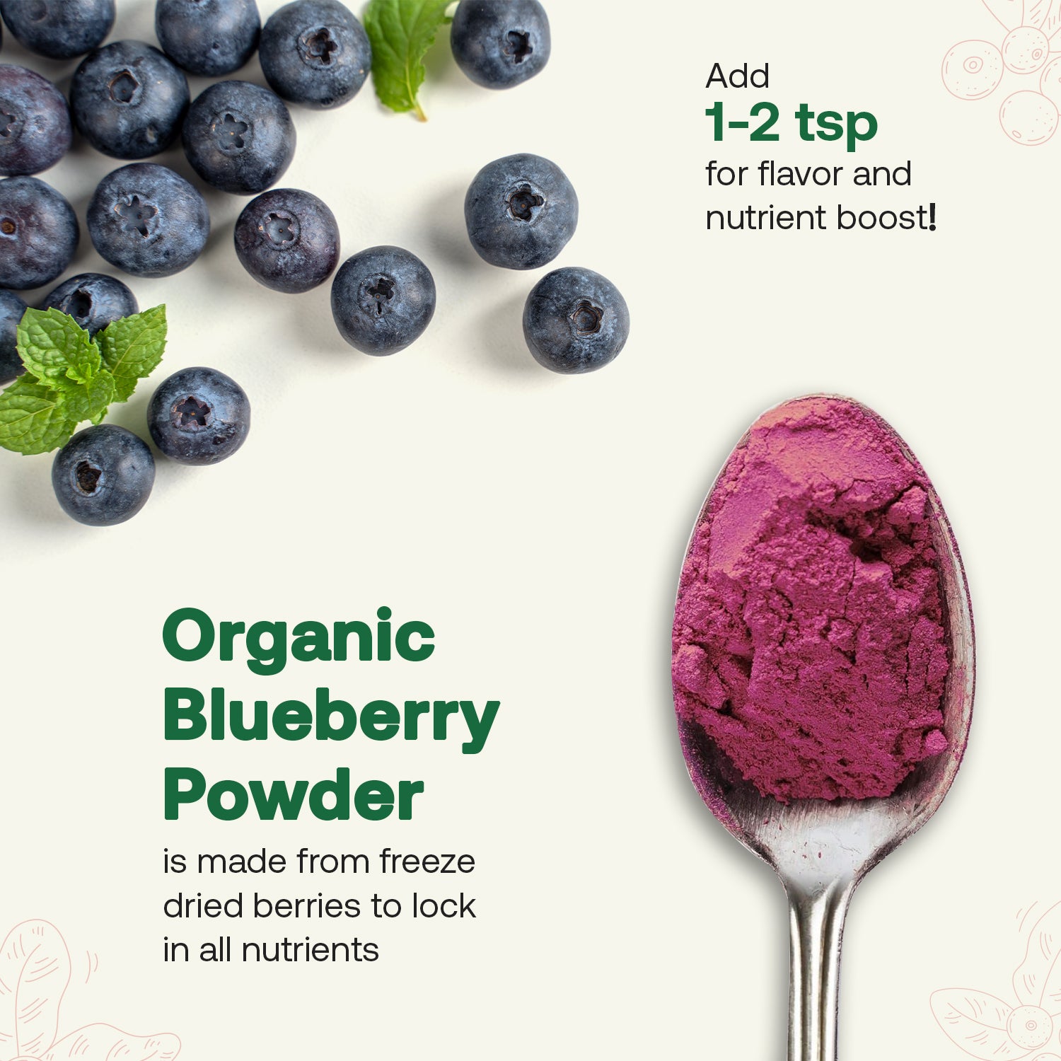 Spoonful of organic blueberry powder with fresh blueberries and mint leaves on a white background.