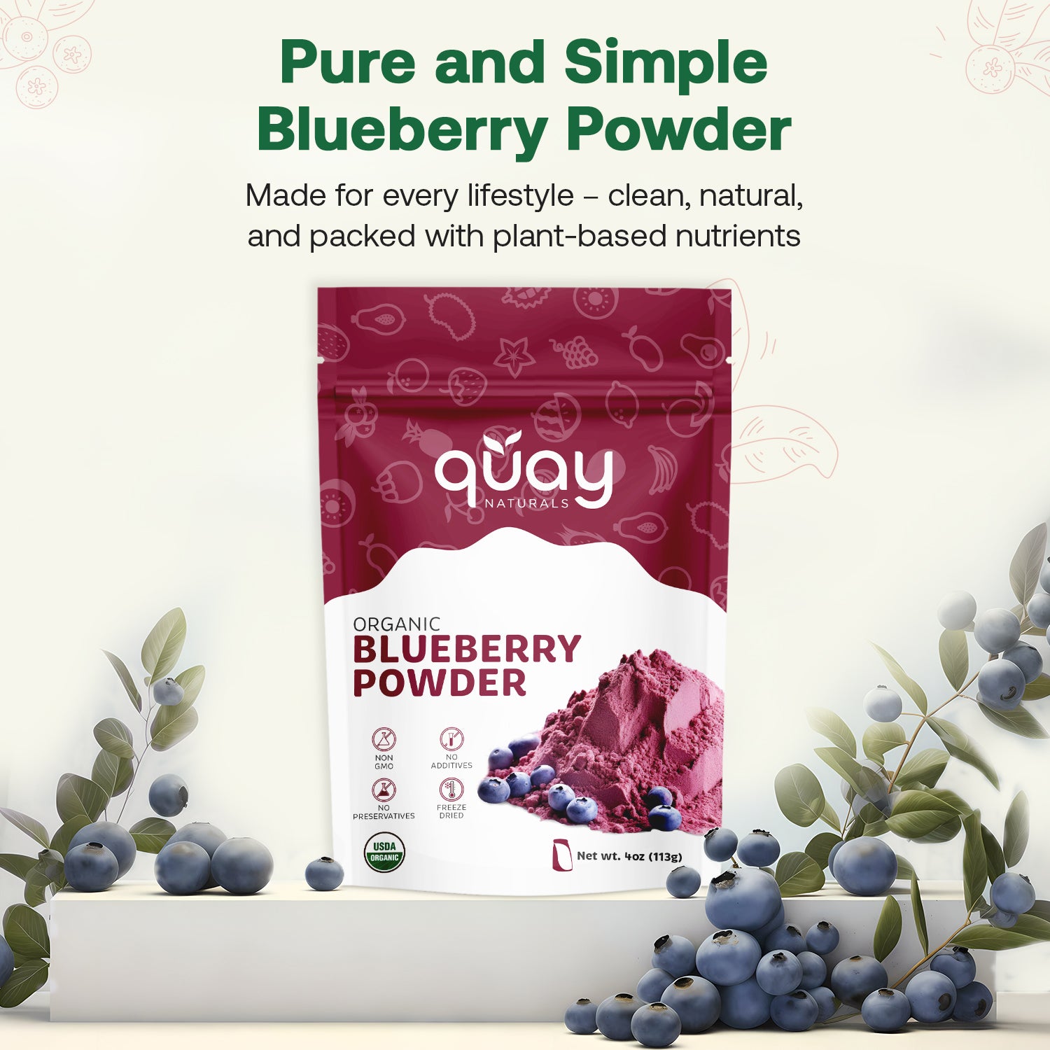 Quay Naturals organic blueberry powder packaging with blueberries on a white background