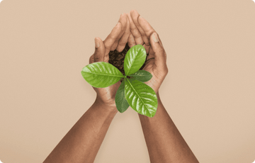 a plant in hand