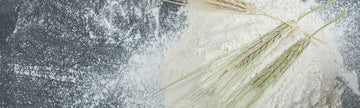 Xanthan Gum