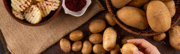 Potato Starch Flour