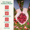 100% Organic Cranberry Powder