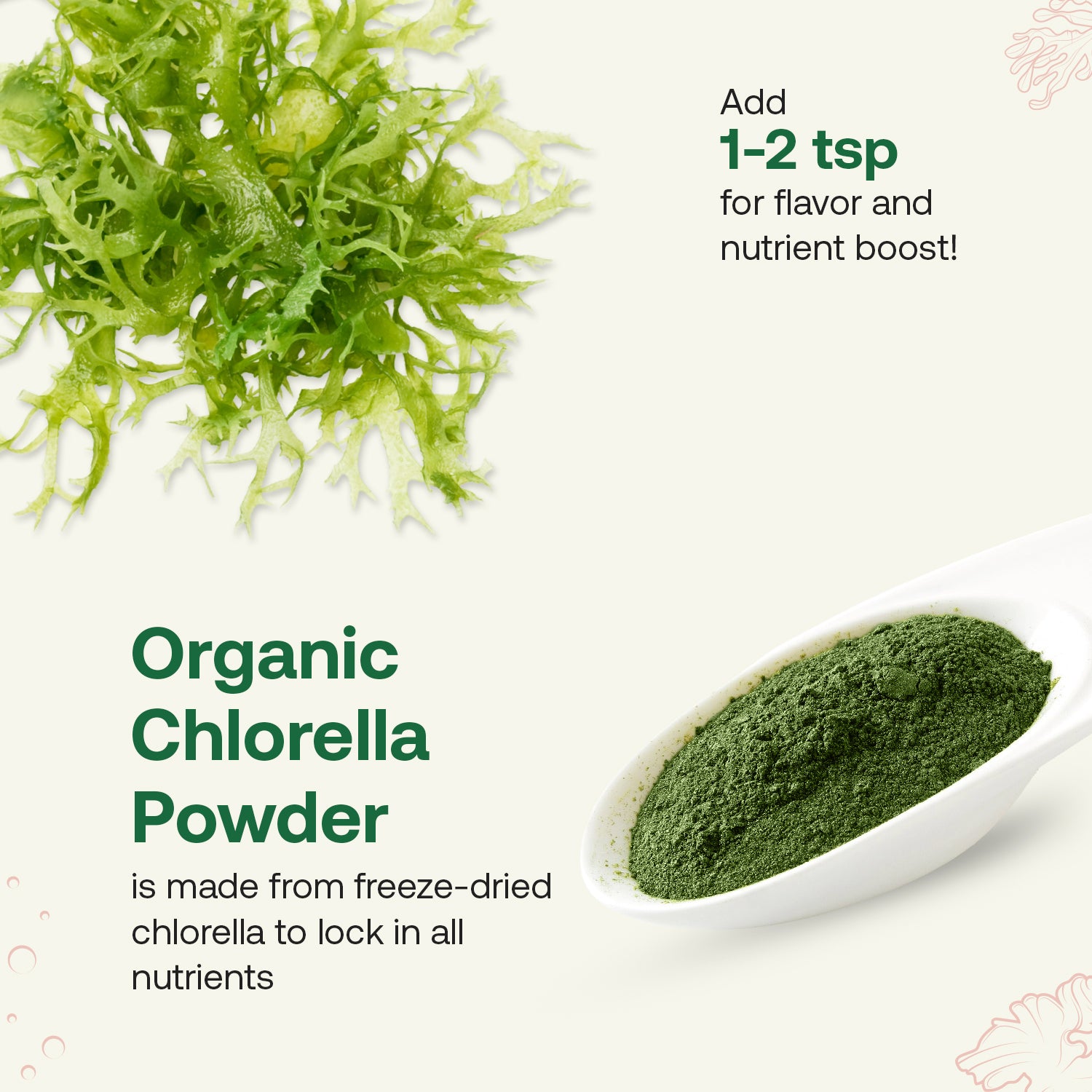 Buy Organic Chlorella Powder Today | Quay Naturals Buy Organic Chlorella Powder Today | Quay Naturals