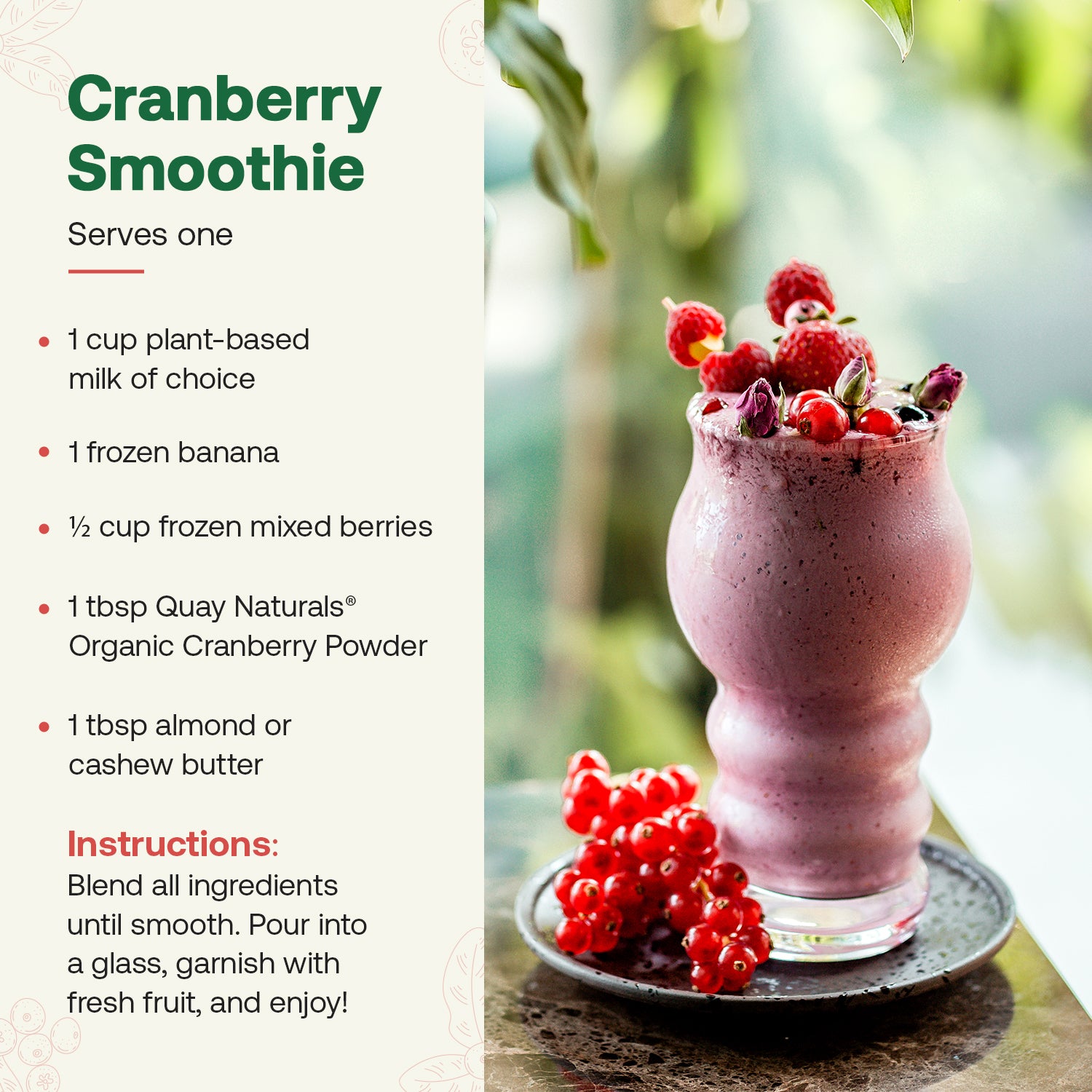 Cranberry Smoothie