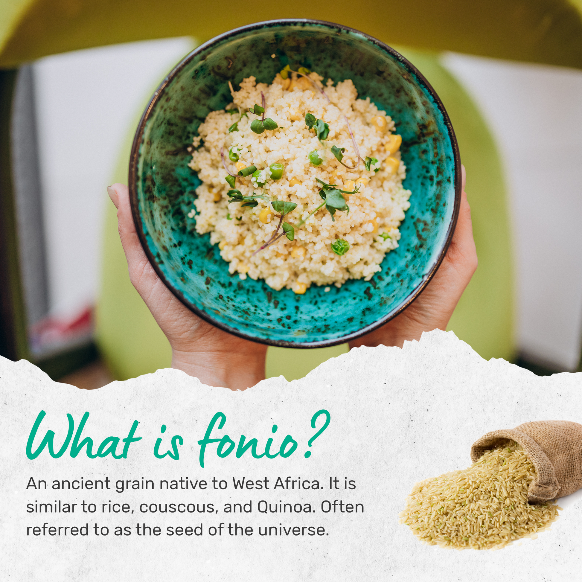 fonio seeds for planting Fonio Grain | 100% Natural Nutrient-Rich