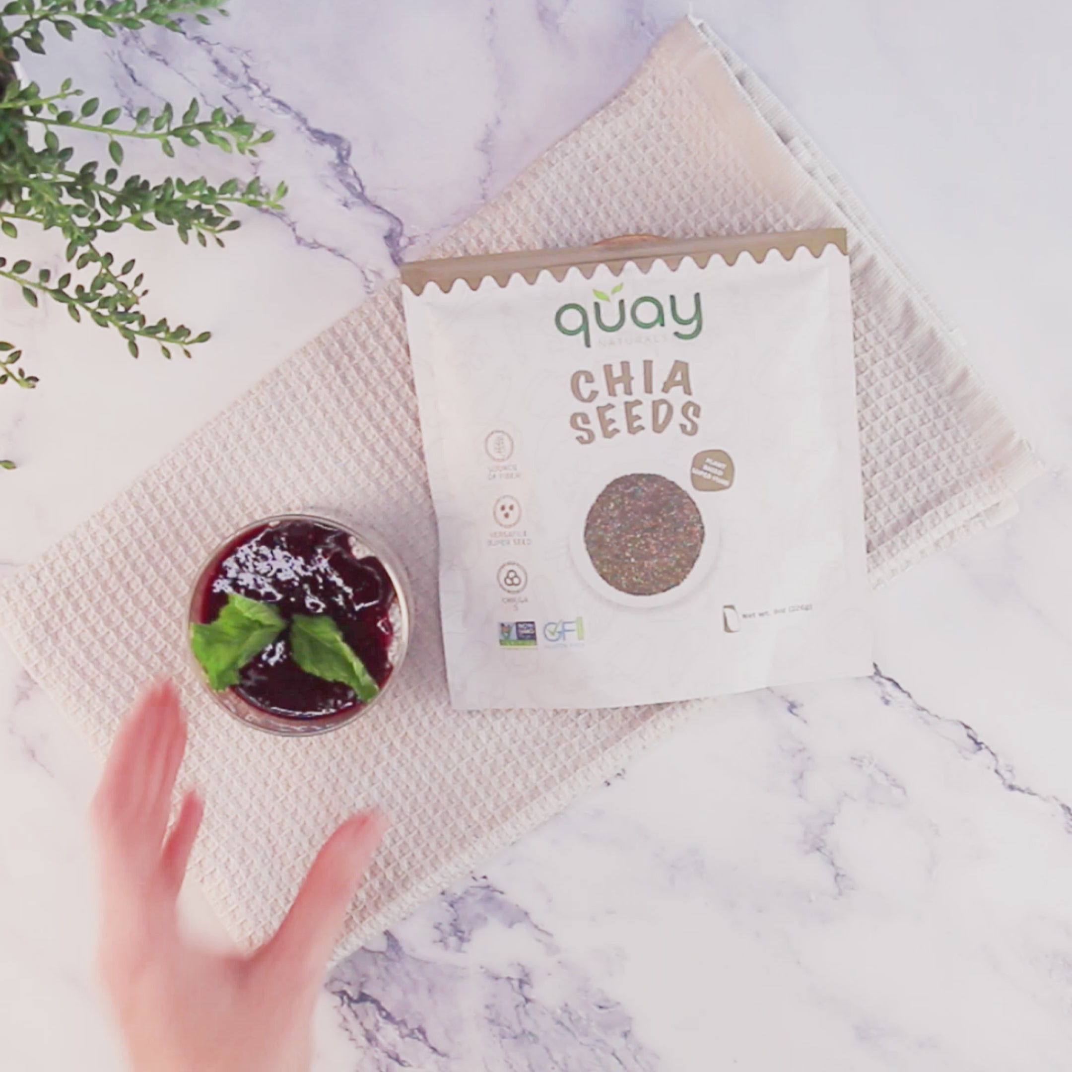 Shop Organic Chia Seeds for Health Benefits | Quay Naturals