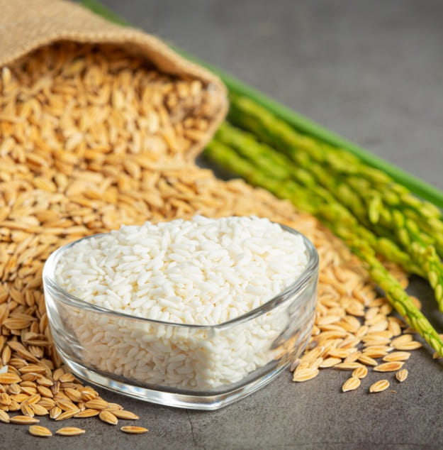 Rice 