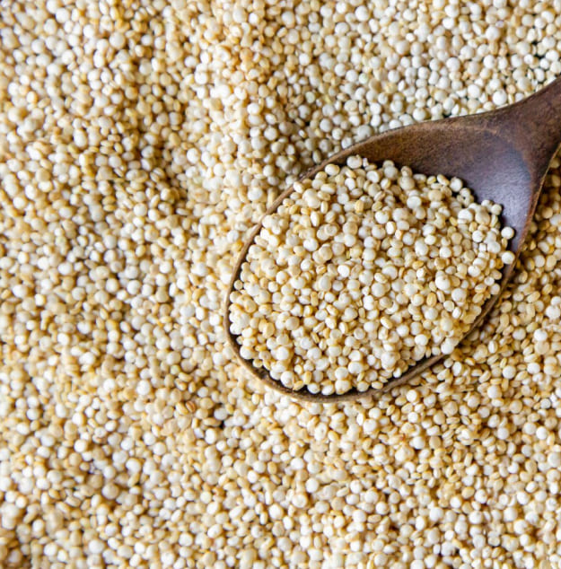 Sorghum