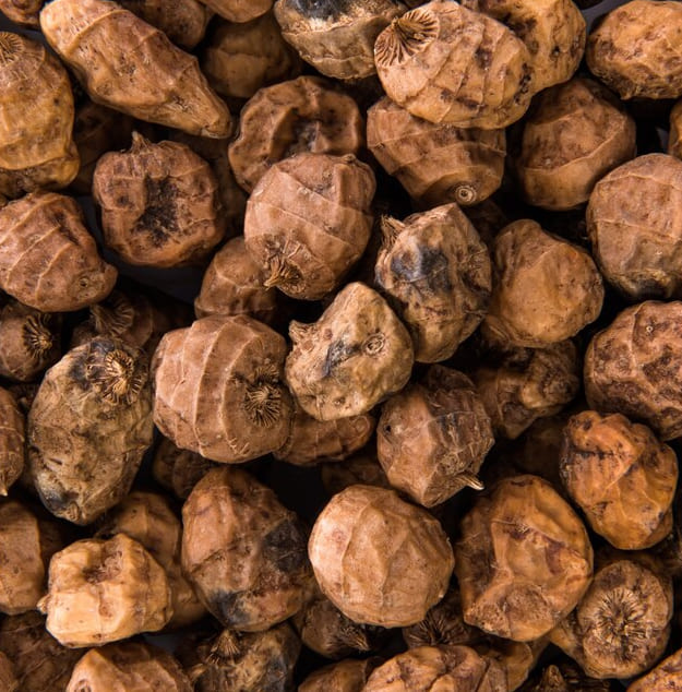 Tiger nut